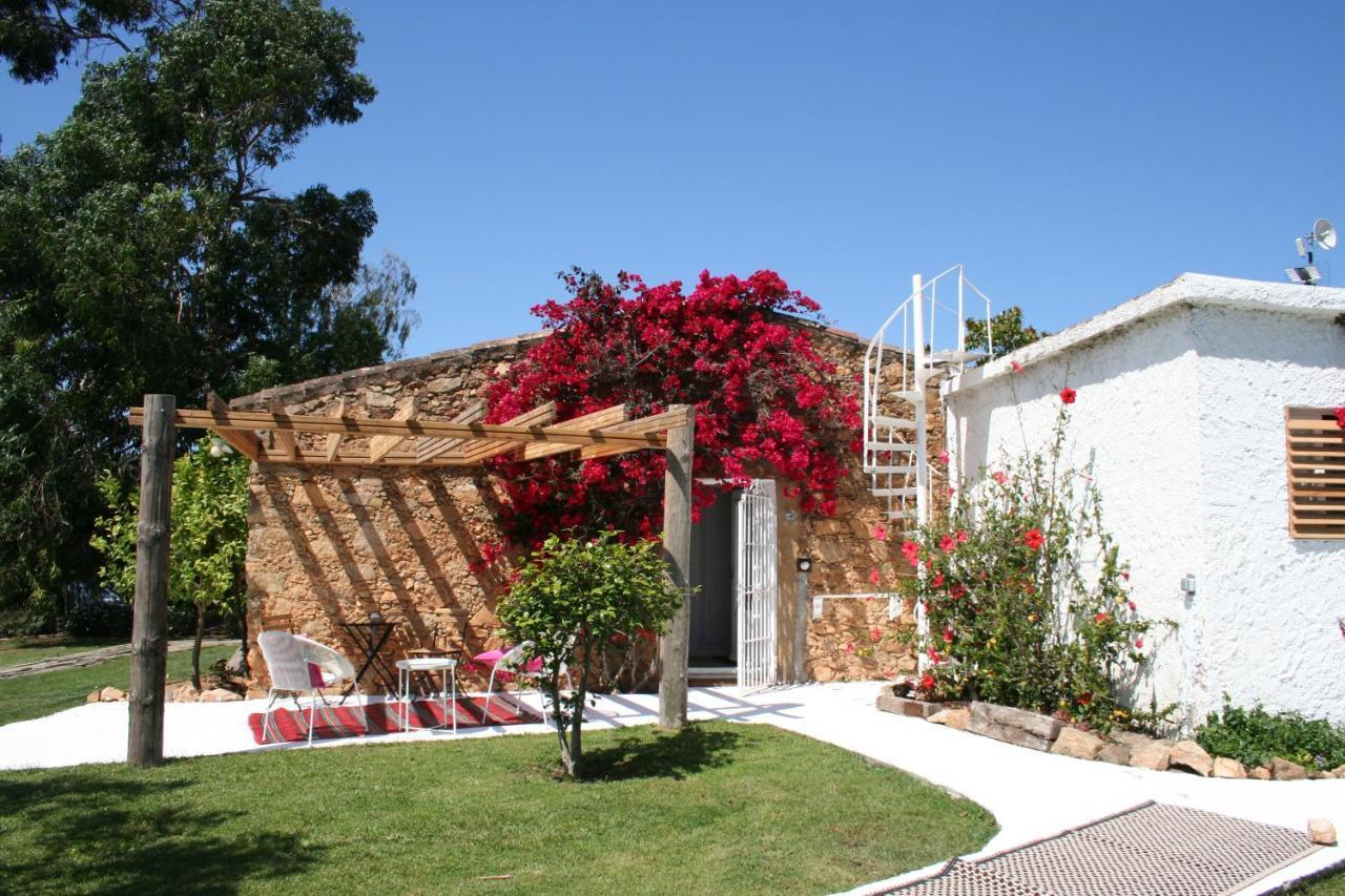 Montrás Le Rondini Bed & Breakfast エクステリア 写真